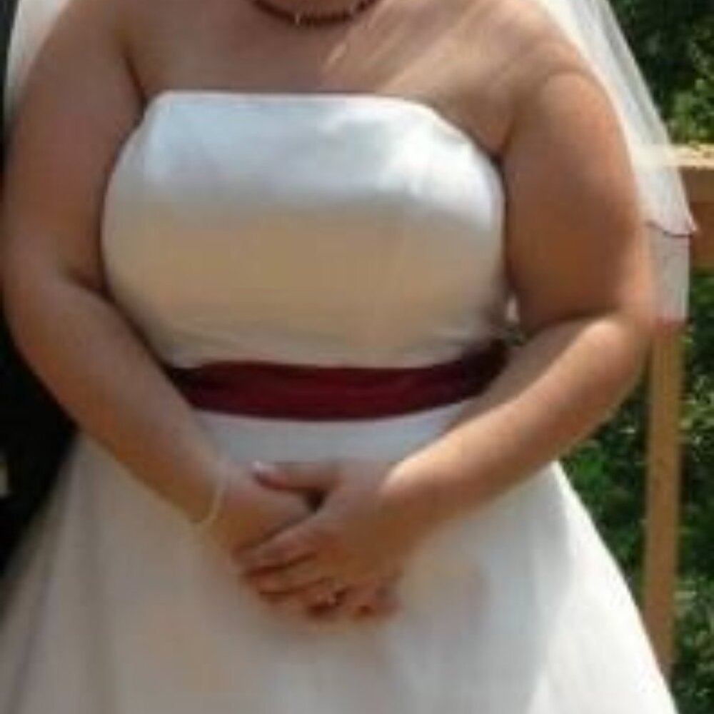 Size 16/18 Wedding dress w/ dress tressle, matching veil and bra